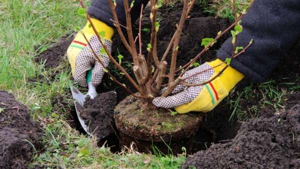 Use these ten tips to prep your home for sale.